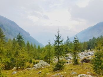 Scenic view of trees and mountains against sky