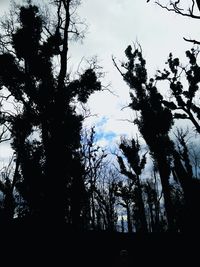 Low angle view of silhouette trees against sky