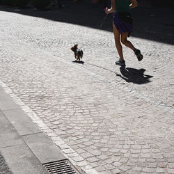 Low section of woman with dog running on street during sunny day