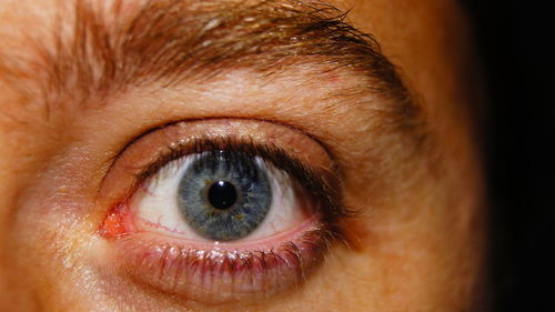 Close-up portrait of human eye