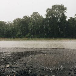 Scenic view of wet forest against sky during rainy season