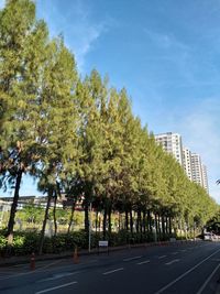 Trees by road in city against sky