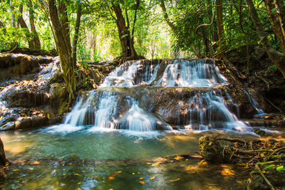 Waterfall in forest