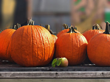 Pumpkins on table