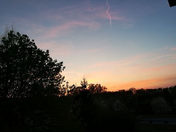 Silhouette trees against sky during sunset