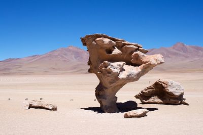Scenic view of landscape against clear sky