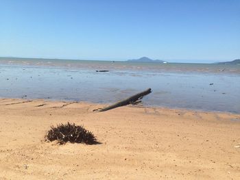 Scenic view of beach against clear blue sky