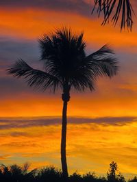 Silhouette of palm trees at sunset