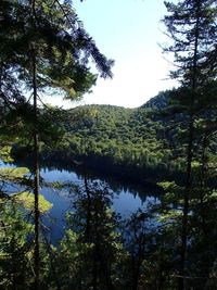 Scenic view of lake by trees against sky