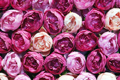 Full frame shot of pink flowers for sale