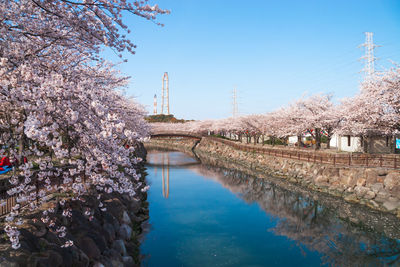 Scenic view of river amidst trees against sky