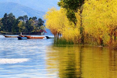 Boats moored in river by autumn trees