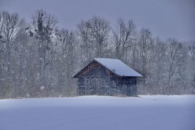 Bare trees on snow covered field on a snowing wintersday