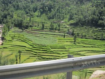 Scenic view of green landscape