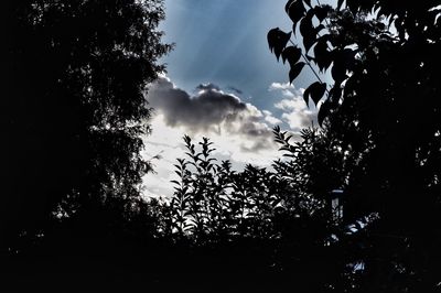 Low angle view of silhouette trees against sky