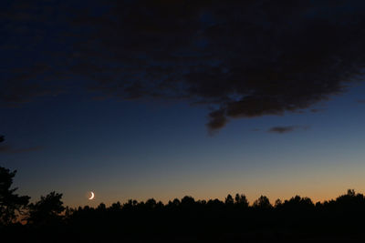 Silhouette trees against sky at night