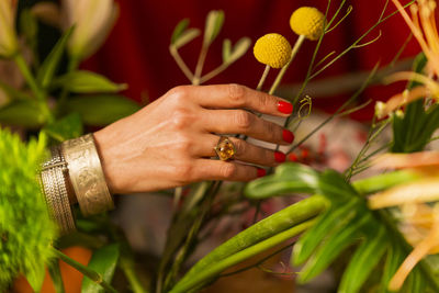 Close-up of hand holding plant