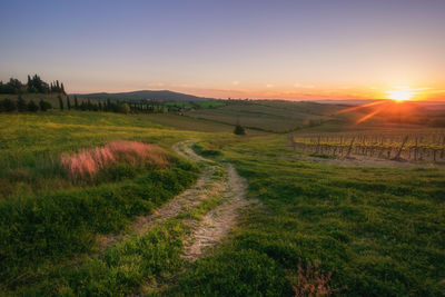 Scenic view of field against sky during sunset