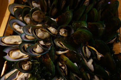 Full frame shot of vegetables