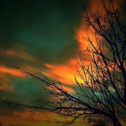 Low angle view of bare trees against sky at sunset