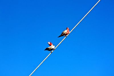 Low angle view of parachute against clear blue sky