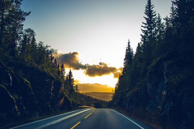 Dirt road amidst trees in forest against sky