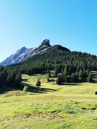 Scenic view of landscape against clear sky