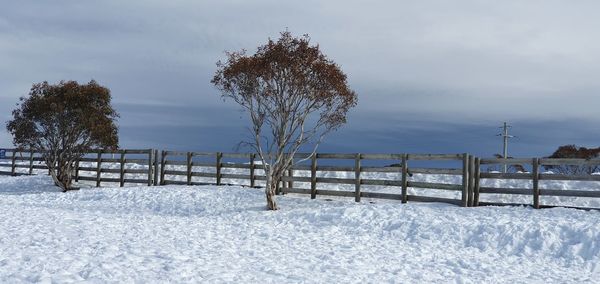 Fence on snow covered field against sky