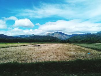 Scenic view of field against sky