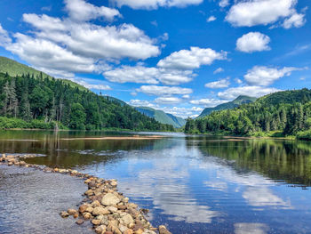 Scenic view of lake by trees against sky