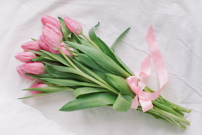 High angle view of pink roses