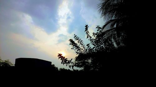 Low angle view of silhouette trees against sky