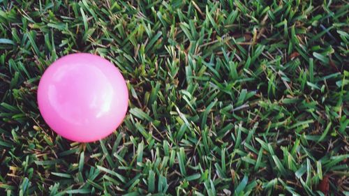 High angle view of pink balloons on field