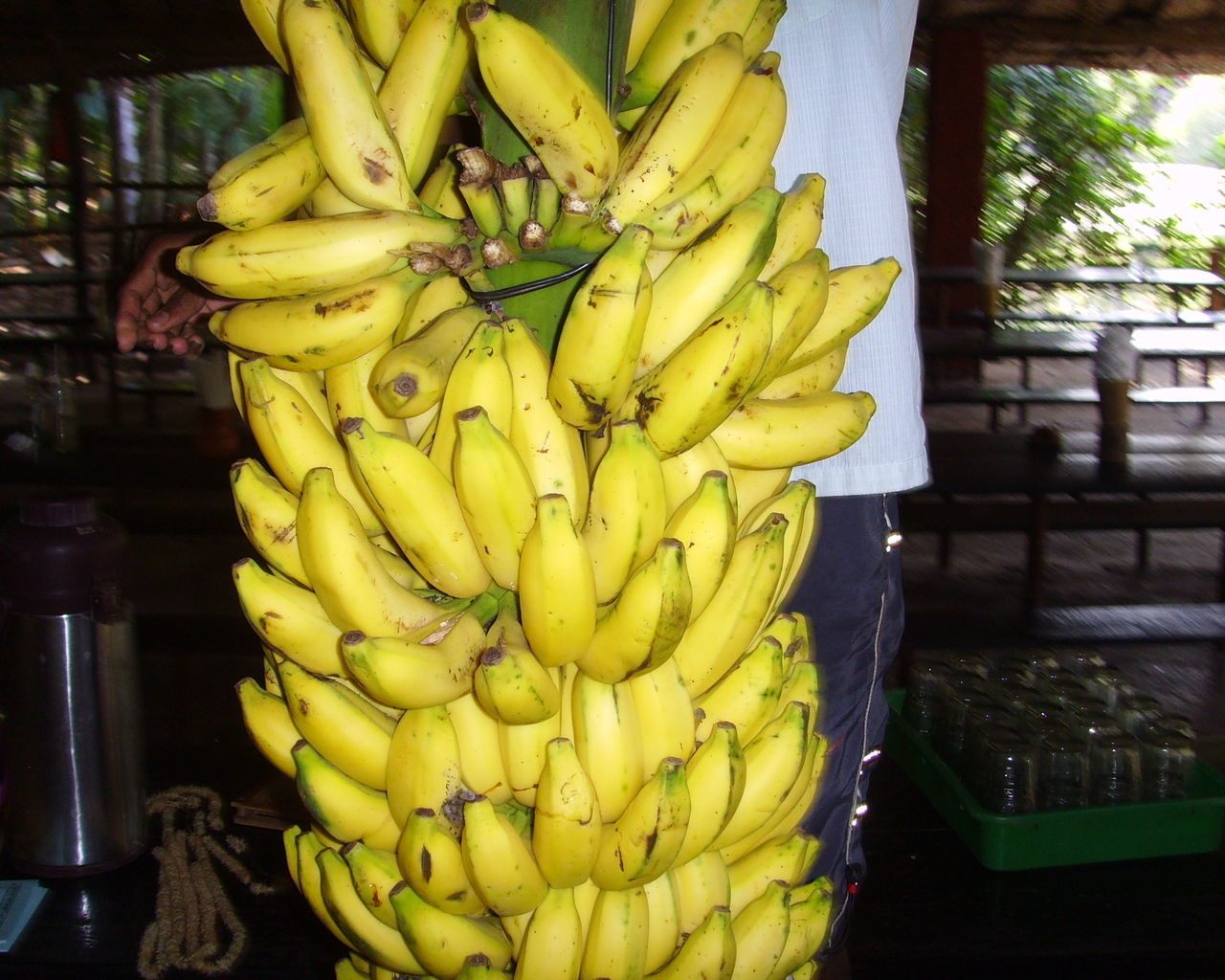 Banana fresh