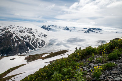 Exit glacier