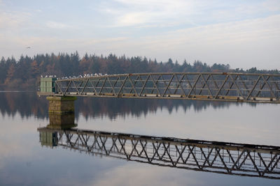 Iron and steel jetty over calm water at redmires reservoirs. large group of white birds settle on it