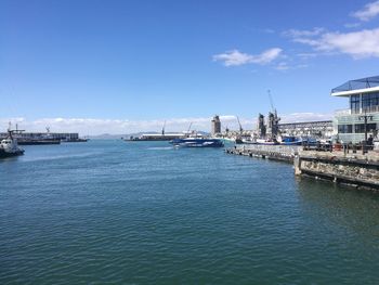 Sailboats moored at harbor against blue sky