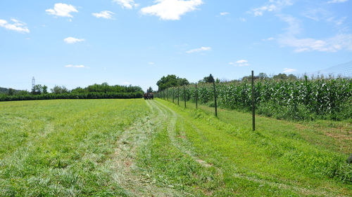 Scenic view of field against sky