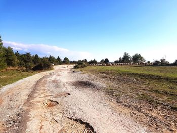 Scenic view of field against clear sky