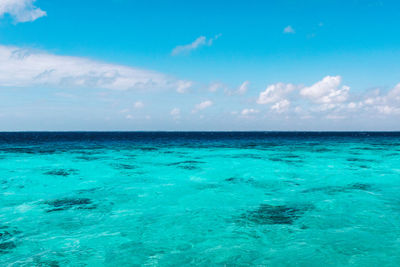 Scenic view of sea against blue sky