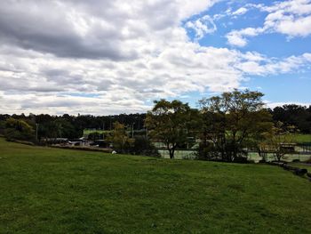 Trees on field against cloudy sky