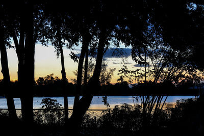 Silhouette trees by lake against sky during sunset