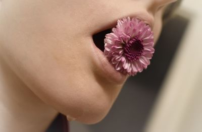 Close-up of pink flower in mouth