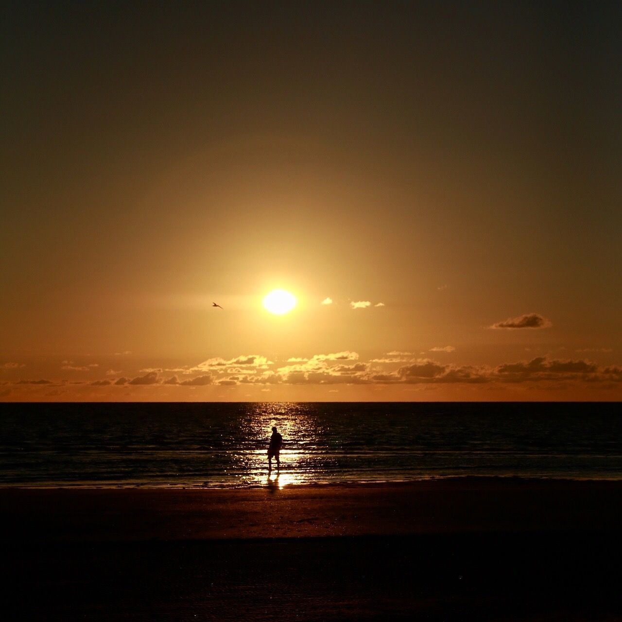 SCENIC VIEW OF SEA DURING SUNSET