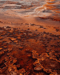 Full frame shot of wet land