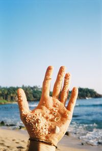 Close-up of seashells on human hand at beach against clear sky