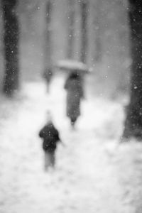 Rear view of person walking on snow field