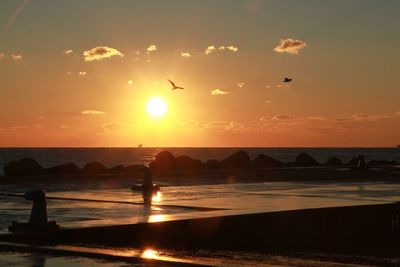 Birds flying over beach against sky during sunset