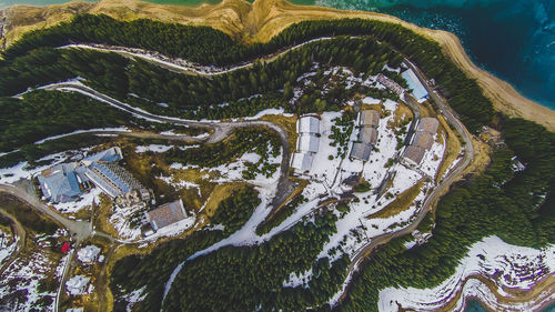 High angle view of trees on land