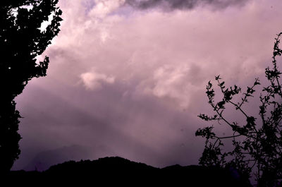 Low angle view of silhouette trees against sky